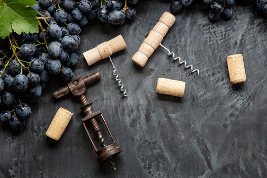 Many different corkscrews varieties with open wine corks on dark concrete background in frame made of black grapes. Degustation winetasting of wines drink. Corkscrews types in Wine bar restaurant