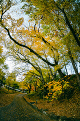 한국의 산지승원 봉정사 가을 Bongjeongsa Temple