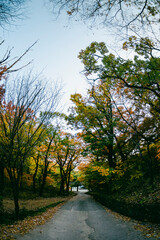 한국의 산지승원 봉정사 가을 Bongjeongsa Temple
