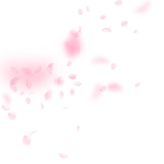 Fototapeta na wymiar Sakura petals falling down. Romantic pink flowers corner. Flying petals on white square background.