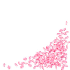 Sakura petals falling down. Romantic pink silky medium flowers. Thick flying cherry petals. Bottom r
