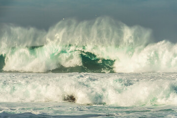 Huge winter waves crashing in Carmel Bay, California.