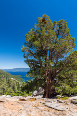 Eagle Lake Trail overlooking Emerald Bay, Lake Tahoe, California.