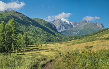 Mountain valley on a summer day, sunny weather