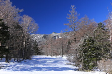 小海スキー場から北八ヶ岳　にゅう　を望む