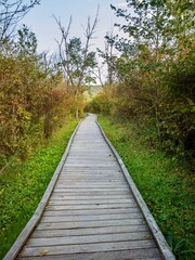 Canoe Creek State Park in Pennsylvania in the early fall with a blue sky and trees and grass along the water.