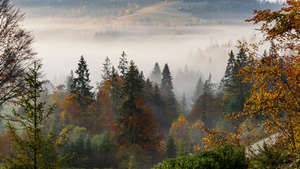 Autumn morning in the mountains, morning fog in the rays of the sun. Mountain landscape, colors of autumn.