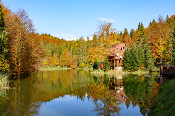 Fototapeta na wymiar Warm sunny autumn day in a park near Lake Vita, Carpathian mountains, Ukraine. Leaf fall landscape, colors of autumn.
