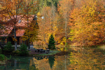 Warm sunny autumn day in a park near Lake Vita, Carpathian mountains, Ukraine. Leaf fall landscape, colors of autumn.