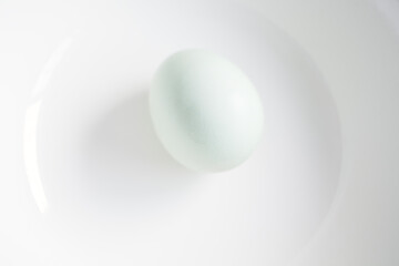 One farm fresh blue egg in a white bowl.