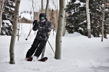 Skier in trees