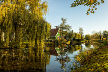 autumn in the park