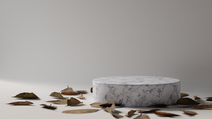 3D rendering, mock up scene with geometric shape, marble podium for product with dried leaves decorated on the floor, 3D illustration