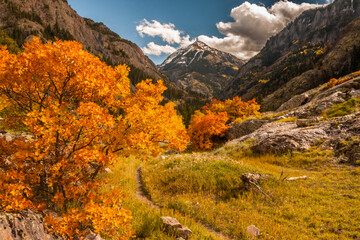 USA, Colorado. Autumn landscape in San Juan Mountains.
