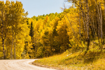 USA, Colorado, Gunnison National Forest. Road through mountain forest in autumn.