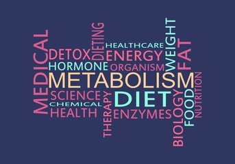 Tags cloud of metabolism. Words collage. Infographic illustration