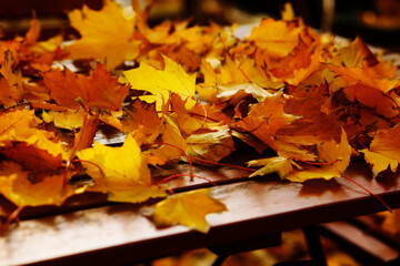 autumn time