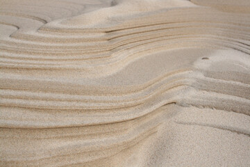 Sand And Dunes In Denmark