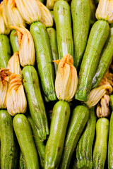 Zucchini