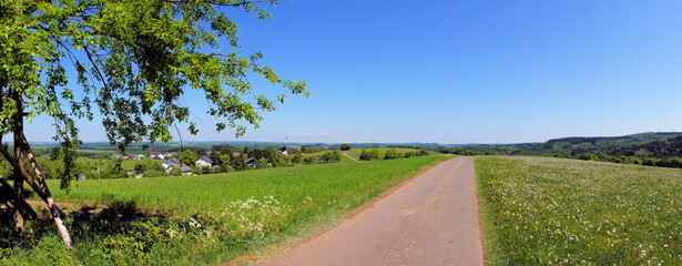 Dirt Track In The Eifel Region Panorama