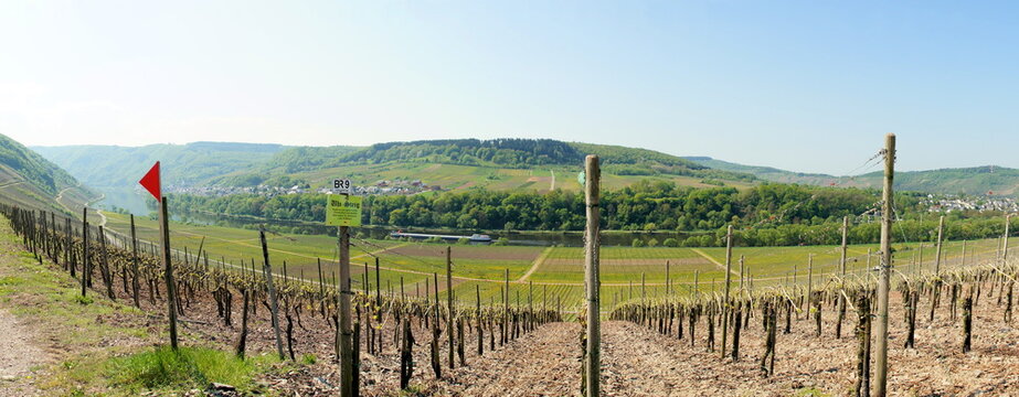 Briedel And P&uuml;nderich On The Moselle