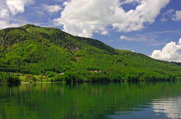 Fototapeta na wymiar Dense Deciduous Forest Around Lake Fuschlsee, Fuschl Am See Near Salzburg, Salzkammergut, Austria