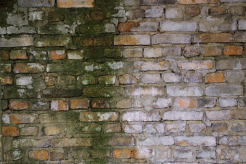 Wall