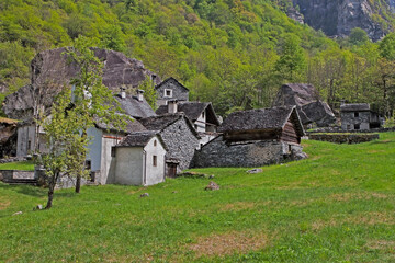 Fototapeta na wymiar Valle Bavona - Ticino