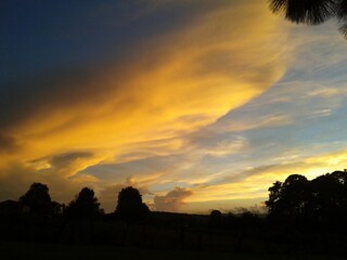 Naturaleza