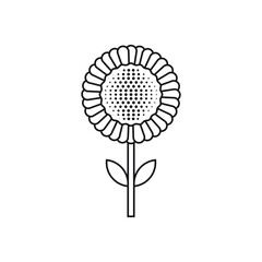 Sunflower icon design. vector illustration