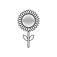 Sunflower icon design. vector illustration