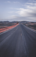 view from road in national park