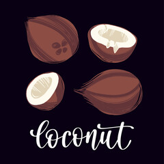 Healthy nutrition product. Coconut whole and half of nut.