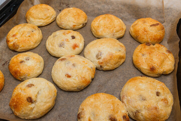 Close-up of cottage cheese pancakes on baking paper on a pan, just taken out of the oven. 