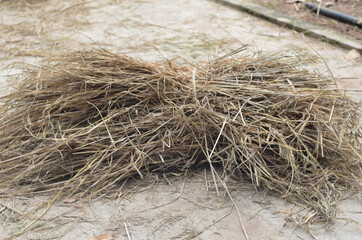 hay bales in the field