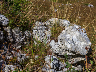 Mountain landscape, autumn sketches from tourist routes, recreation places for citizens.