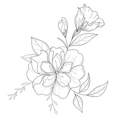 Botanical flower. Botanical composition. Black-white flower on a white background. Vector illustration.