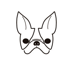 ボストンテリア
