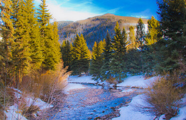Snowy scene of creek and pine trees in Vail, Colorado. - obrazy, fototapety, plakaty