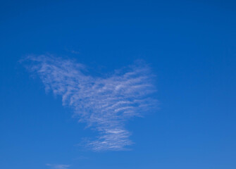 Fototapeta na wymiar Flimsy white cloud with an odd shape isolated in a clear blue sky image for background use