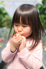 子供といちご狩りにお出かけ