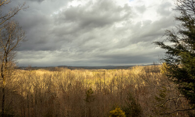 Majecstic view of mountain range and trees in the foregroudn with storm clouds in the background.