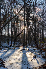 sun peaking through the trees on a snowy winter hike