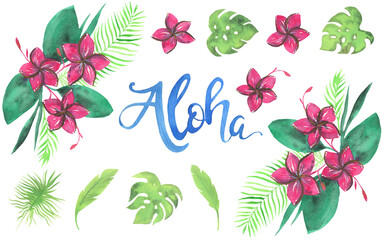 Watercolor Hawaiian Illustration. Handpainting watercolor set. Hawaiian style.