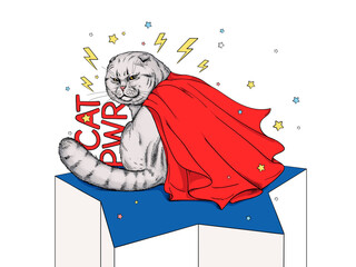  Cute scottish fold cat in superhero cape. Cat power illustration. Stylish image for printing on any surface