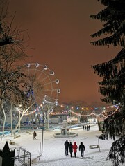 christmas tree at night