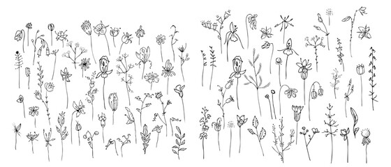 Big set with different stylized wild flowers. Black and white contour linear version. Illustration can be used for coloring b