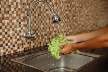 Wash the vegetables in the kitchen. Woman hand wash lettuce salad at home before coocking