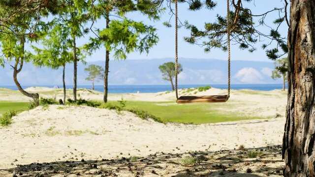 Rope swing hangs on tree on a beautiful sunny beach with white sand and blue water of lake Baikal. Swing shake on a pine tree against the background of the mountain landscape in summer day