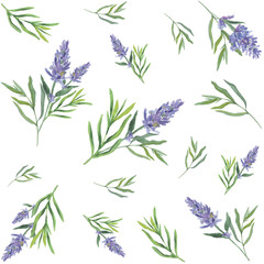 Mediterranean style watercolor illustration. Summer nature view. Leaves and lavender seamless pattern.